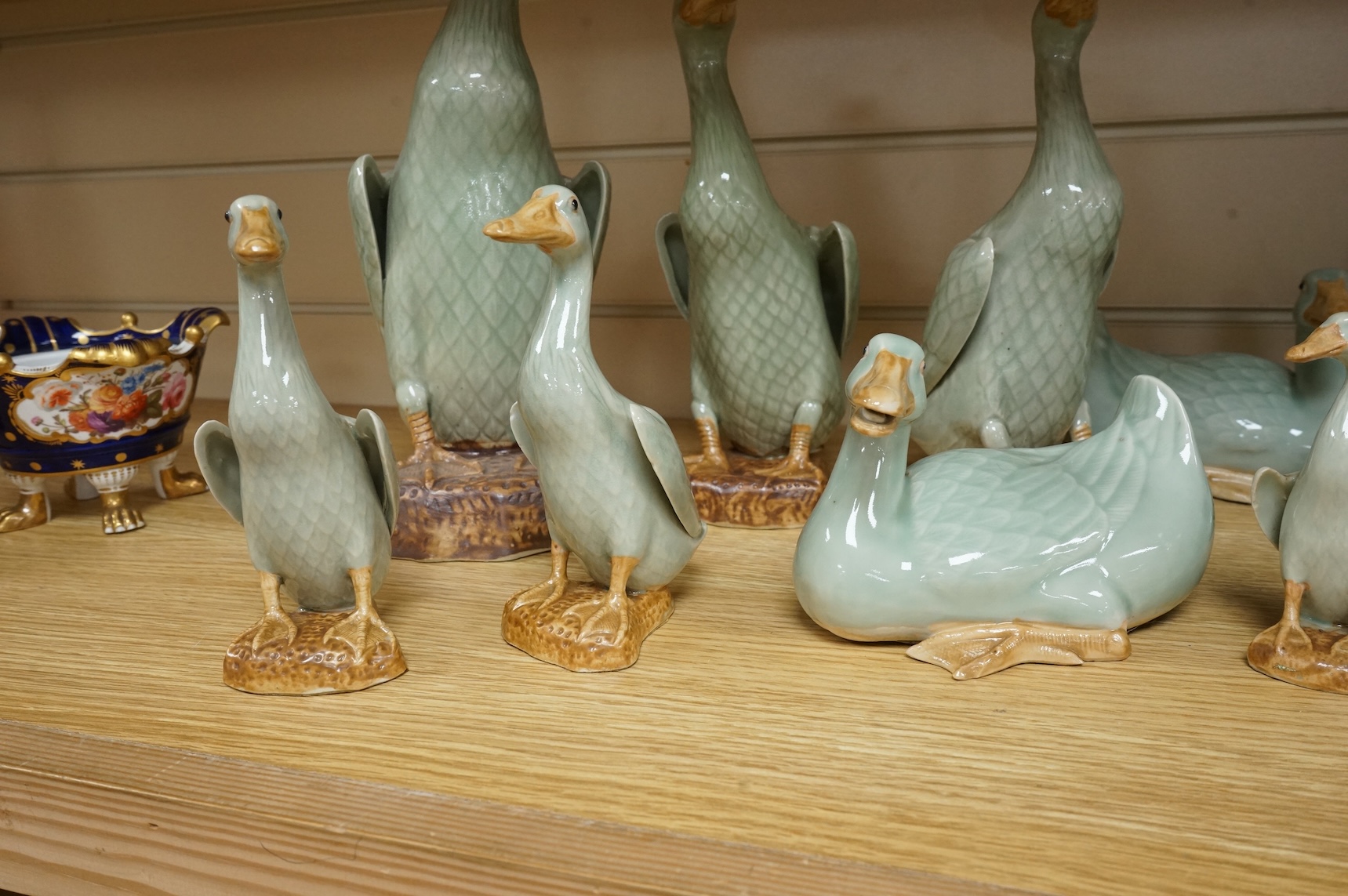 A collection of Chinese celadon glazed models of geese and ducks, largest 31cm high